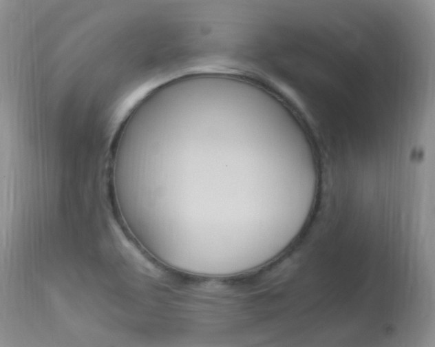X0000113951463200909250951
