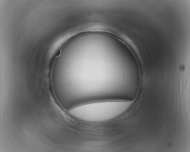 X0000113951464200909250951