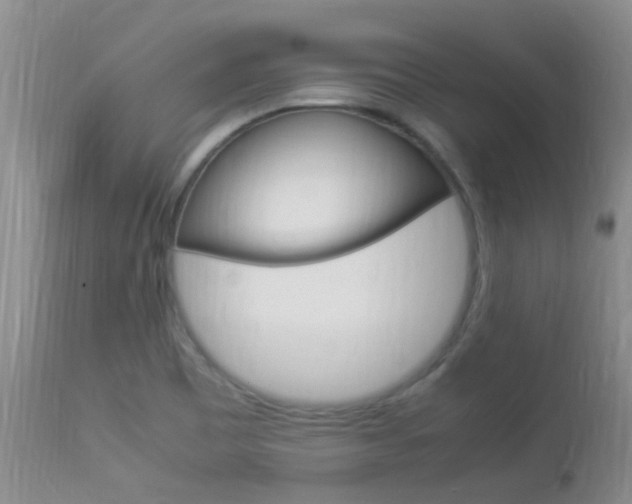 X0000113951465200909250951