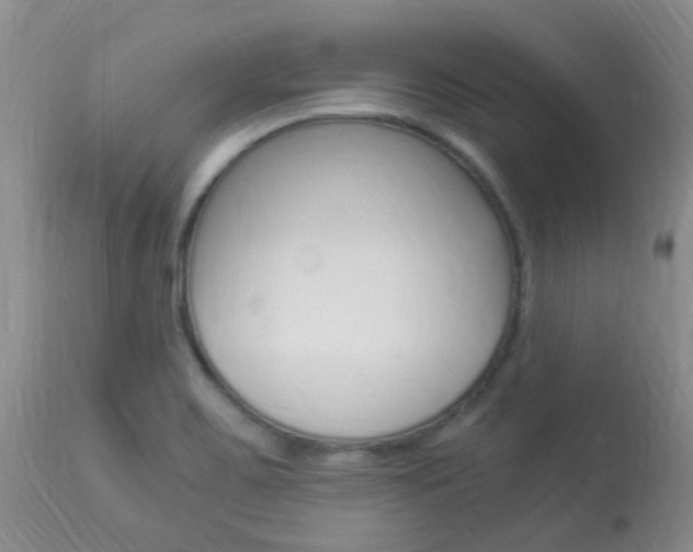X0000113951467200909250951