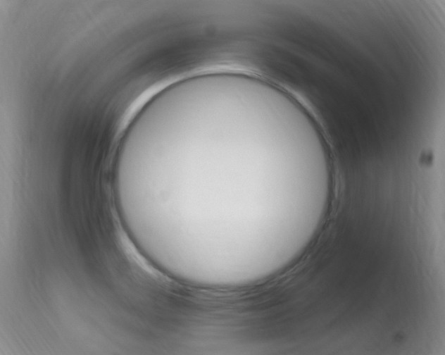 X0000113951468200909250951