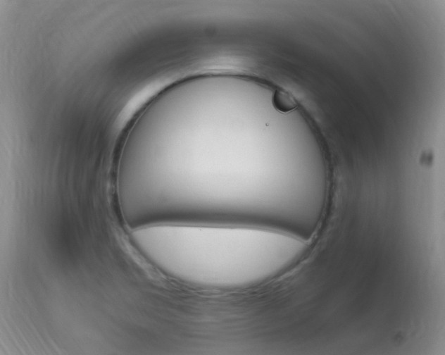 X0000113951469200909250951