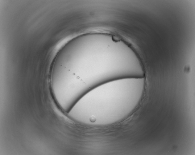 X0000113951471200909250951