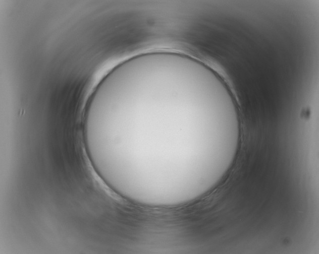 X0000113951472200909250951
