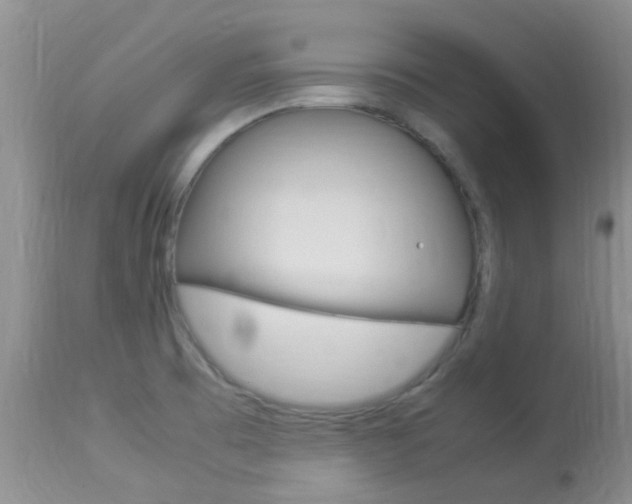 X0000113951473200909250951