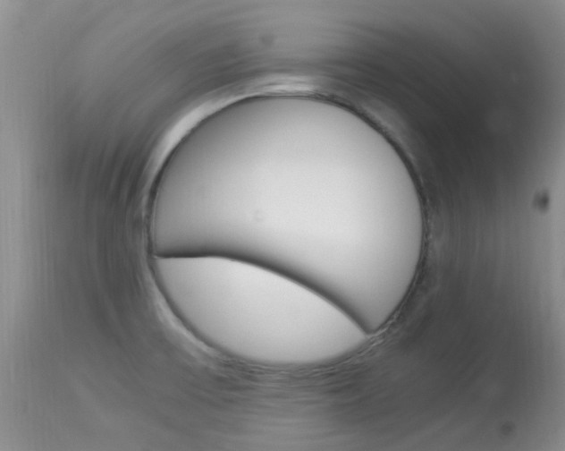 X0000113951475200909250951