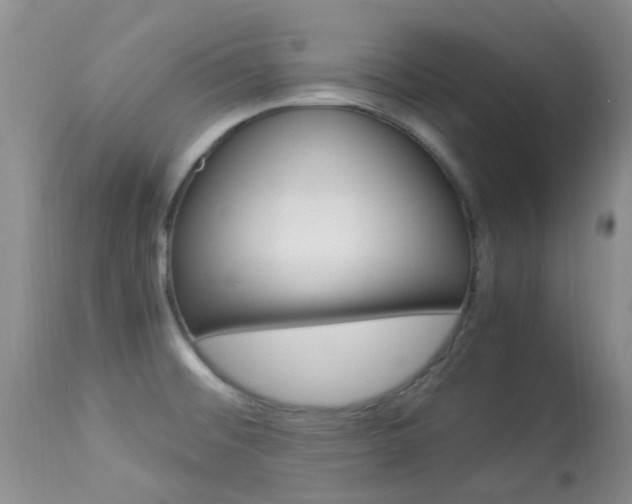 X0000113951476200909250951