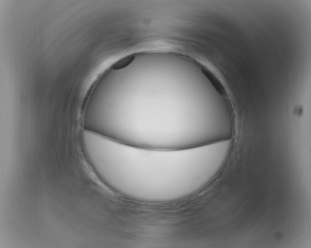X0000113951477200909250951