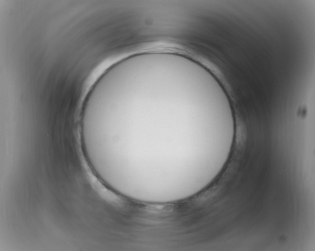 X0000113951478200909250951