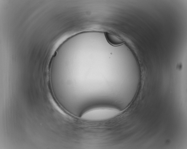 X0000113951479200909250951