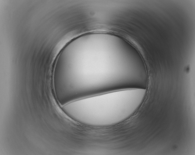 X0000113951483200909250951