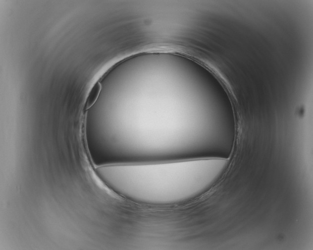 X0000113951484200909250951