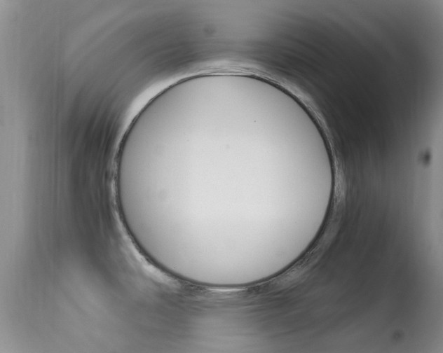 X0000113951486200909250951