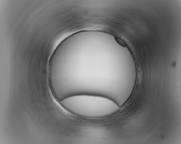 X0000113951487200909250951