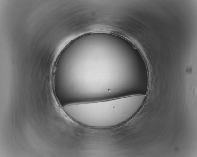 X0000113951488200909250951