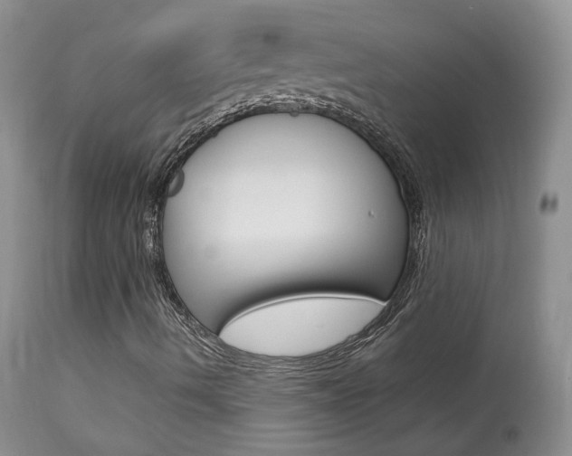 X0000113951490200909250950