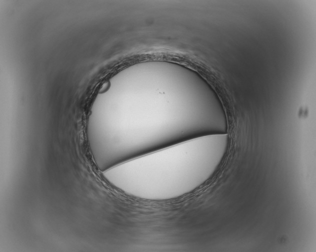 X0000113951493200909250950