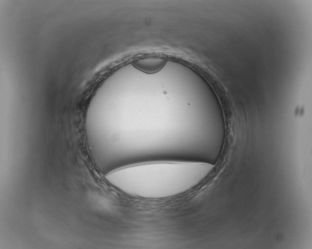 X0000113951494200909250950