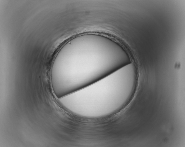 X0000113951497200909250950
