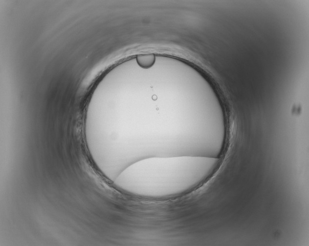 X0000113951498200909250950