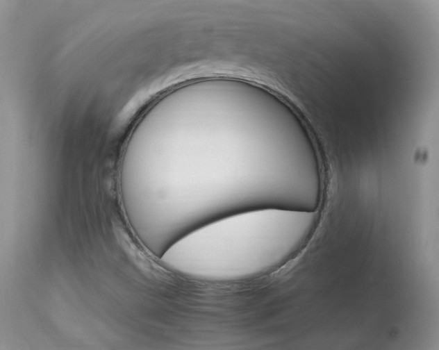 X0000113951499200909250950