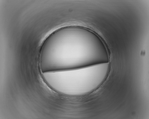 X0000113951500200909250950