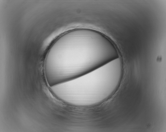 X0000113951503200909250950