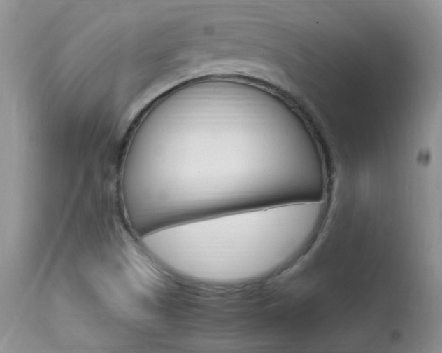X0000113951505200909250951