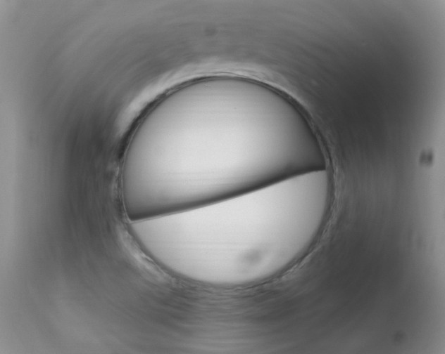 X0000113951507200909250951