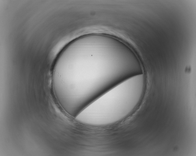 X0000113951509200909250951