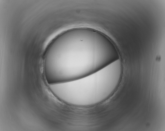 X0000113951510200909250951