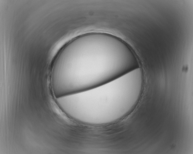 X0000113951511200909250951