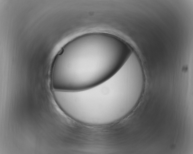 X0000113951512200909250951
