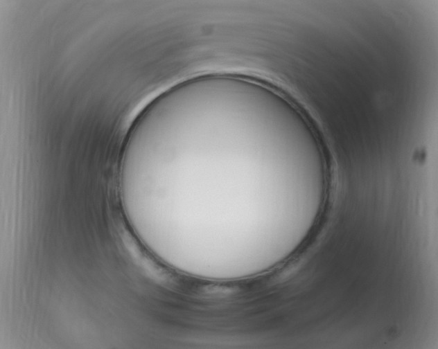 X0000113951513200909250951