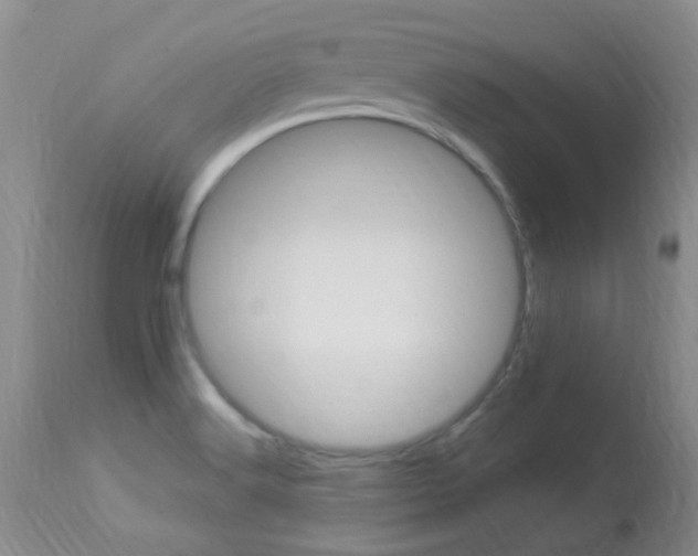 X0000113951516200909250951
