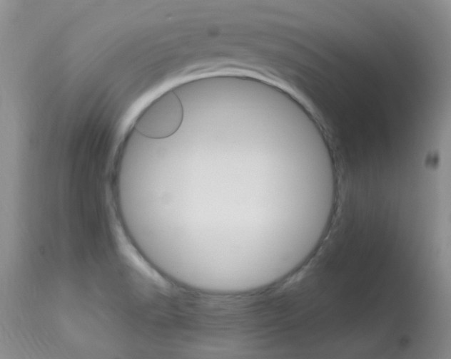 X0000113951518200909250951
