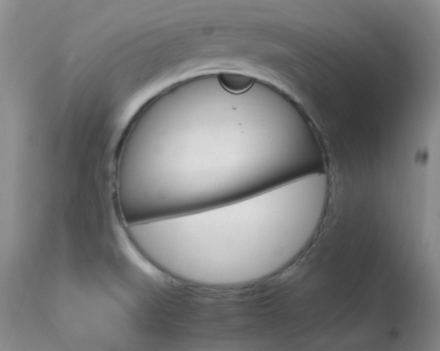 X0000113951519200909250951