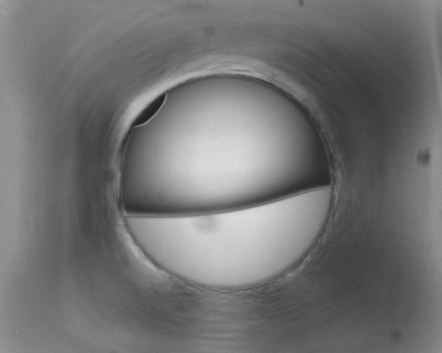 X0000113951520200909250951