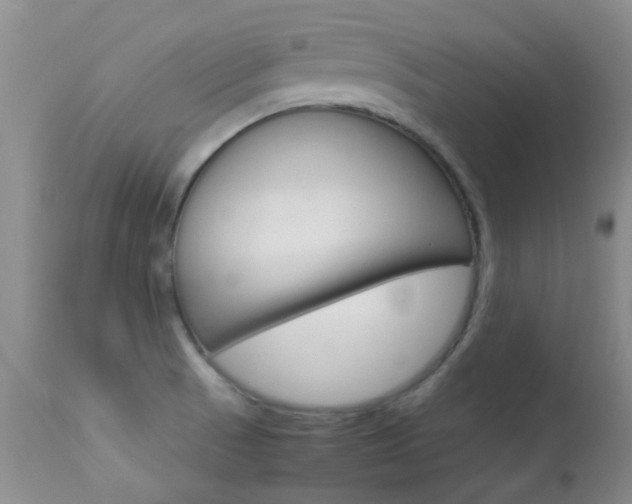 X0000113951521200909250951