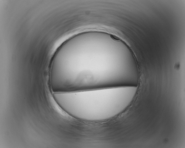 X0000113951523200909250951