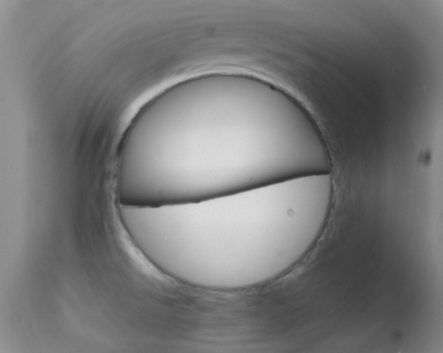 X0000113951526200909250951