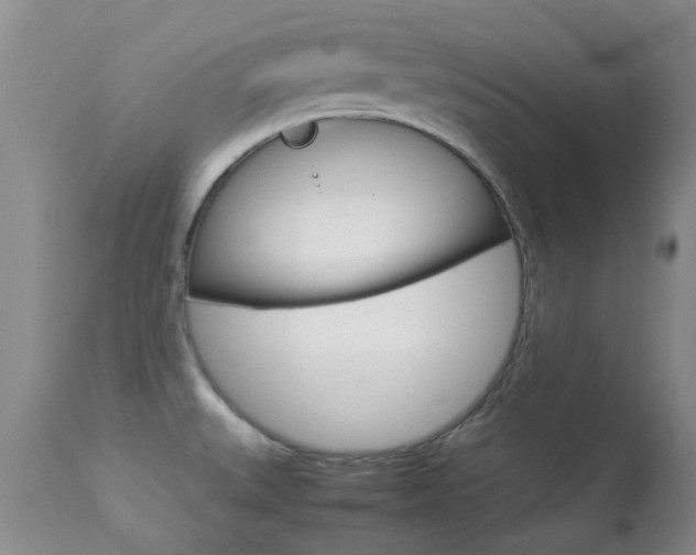 X0000113951527200909250951