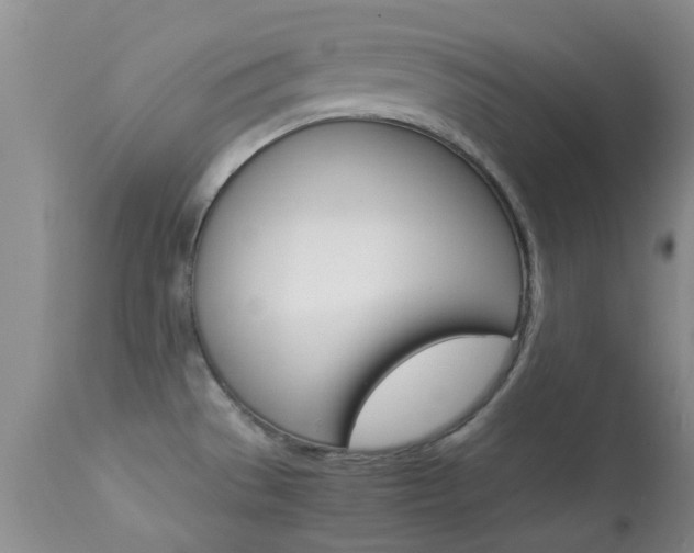 X0000113951529200909250951