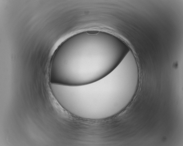 X0000113951530200909250951