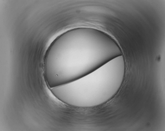 X0000113951531200909250951