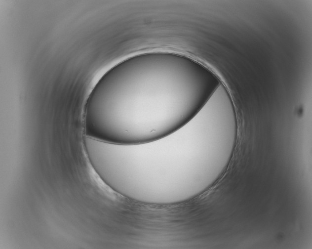 X0000113951532200909250951