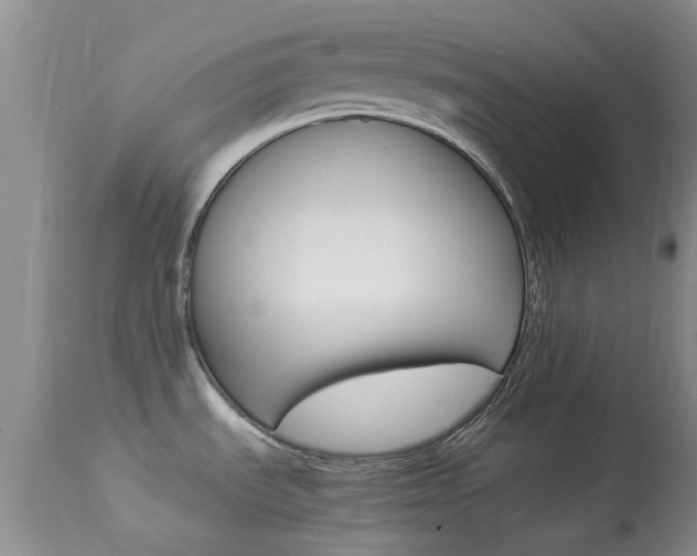 X0000113951535200909250951