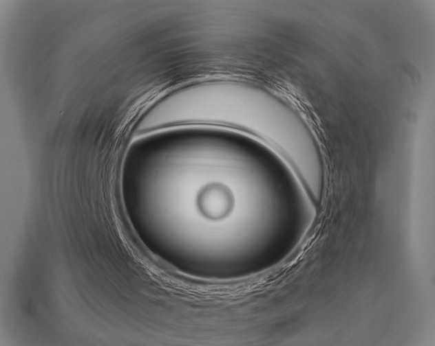 X0000113950001200909251348