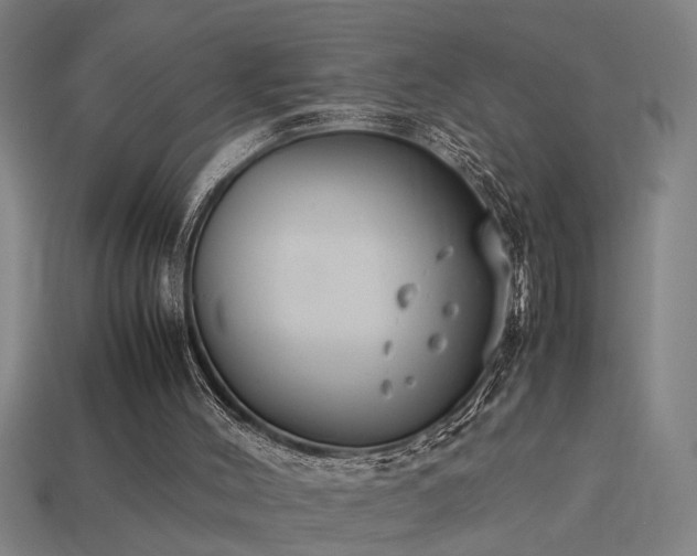 X0000113950004200909251348