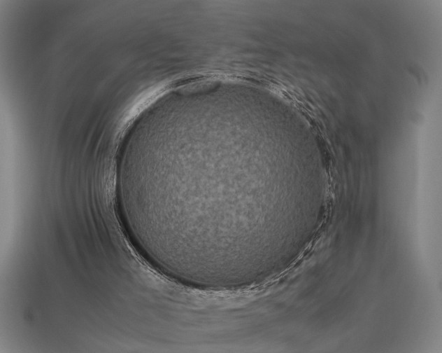 X0000113950005200909251348